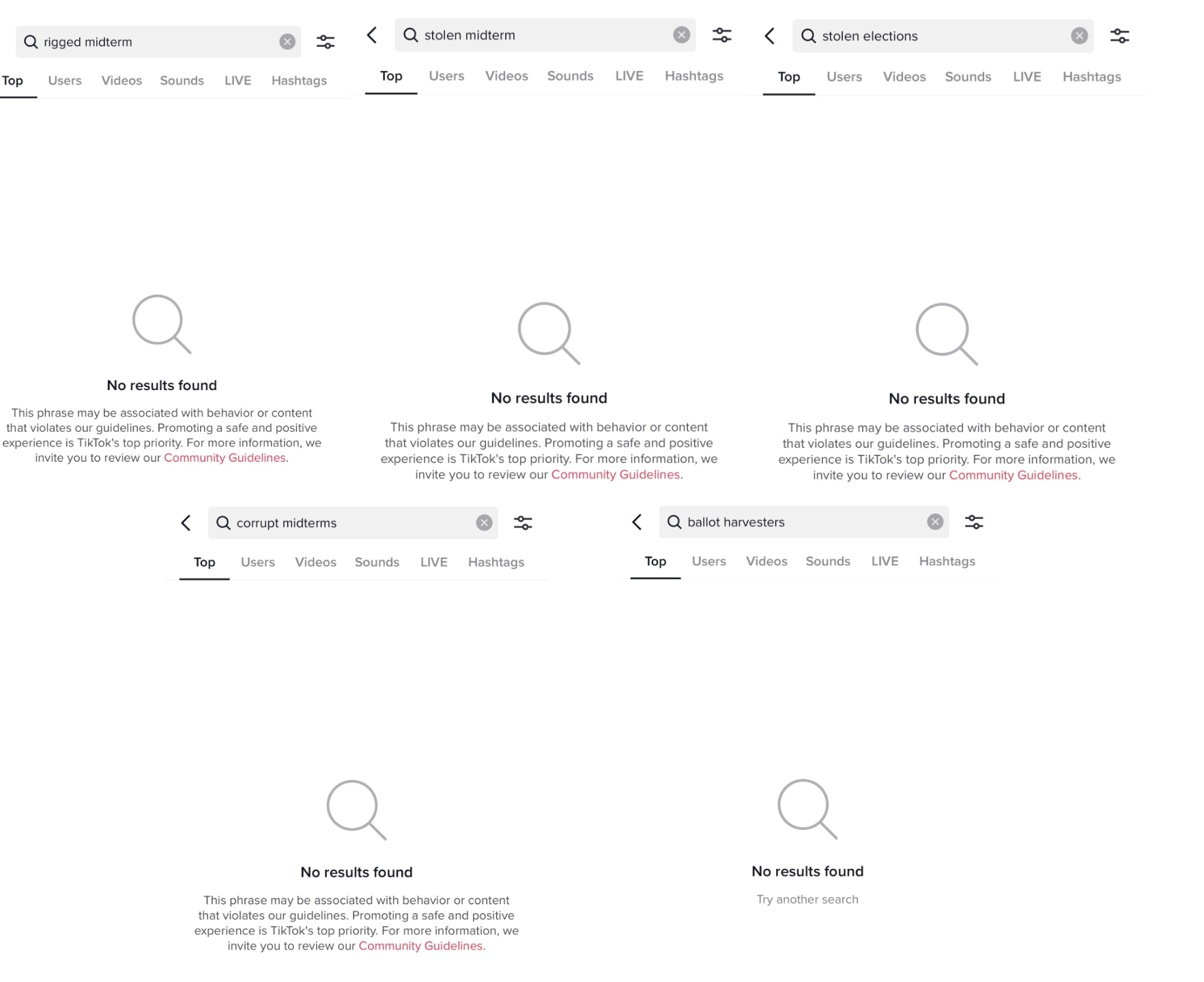 tiktok election fraud search bans