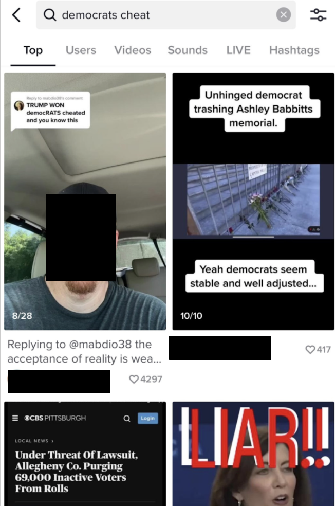 democrats cheat search tiktok
