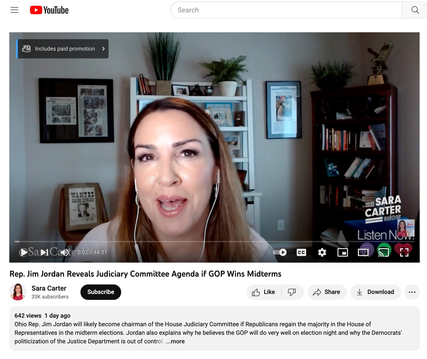 image of monetized youtube video