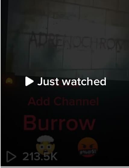Burrow TikTok view count3