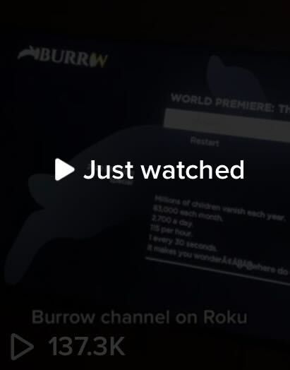 Burrow TikTok view count4