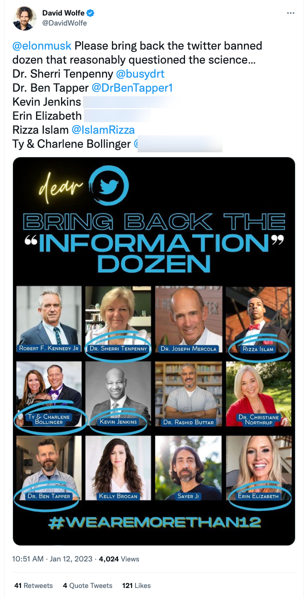 User calling for Disinfo Dozen reinstatement 