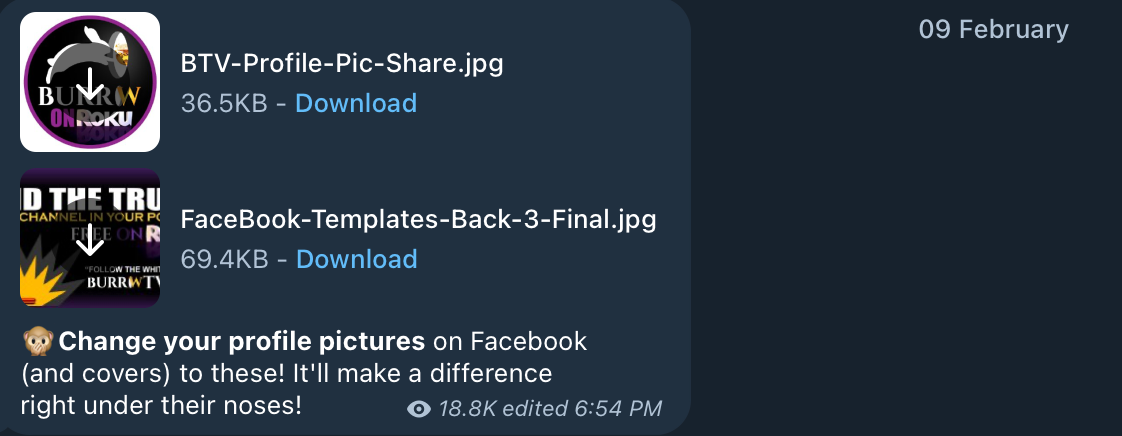 QAnon Roku channel call to put channel logo on Facebook profiles