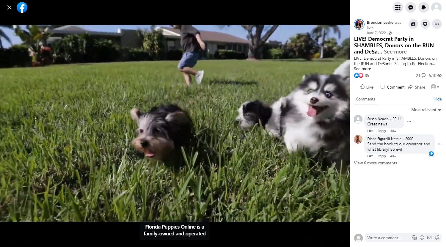 Image shows Florida Puppies Online sponsored commercial for podcast affiliated with Florida's Voice