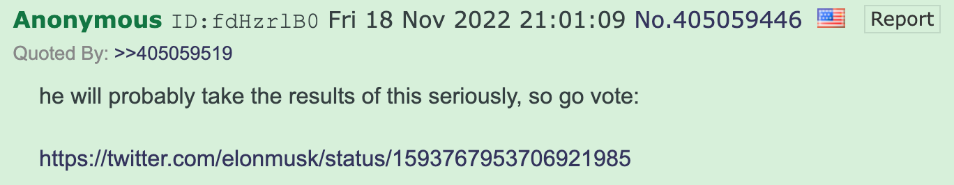 4chan Musk poll image4