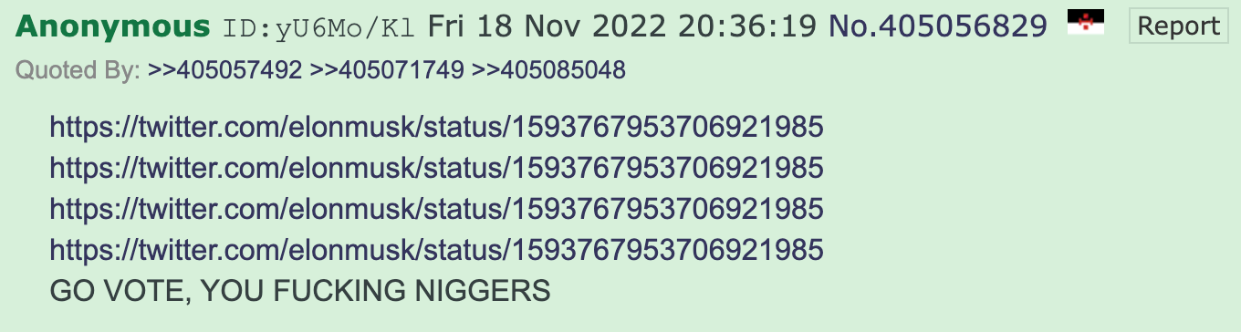 4chan Musk poll image7