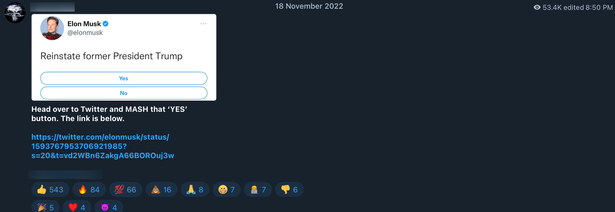 Musk poll QAnon influencer post2