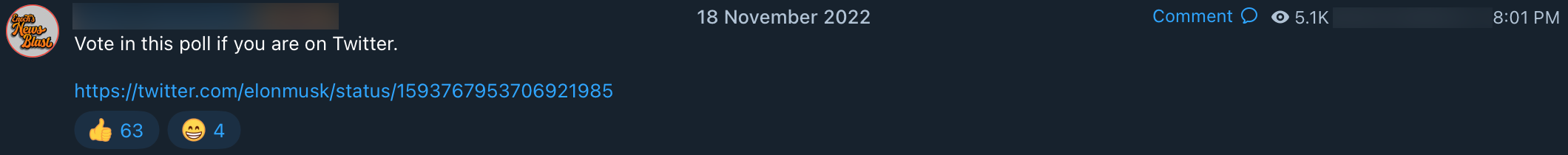 Musk poll QAnon influencer post4