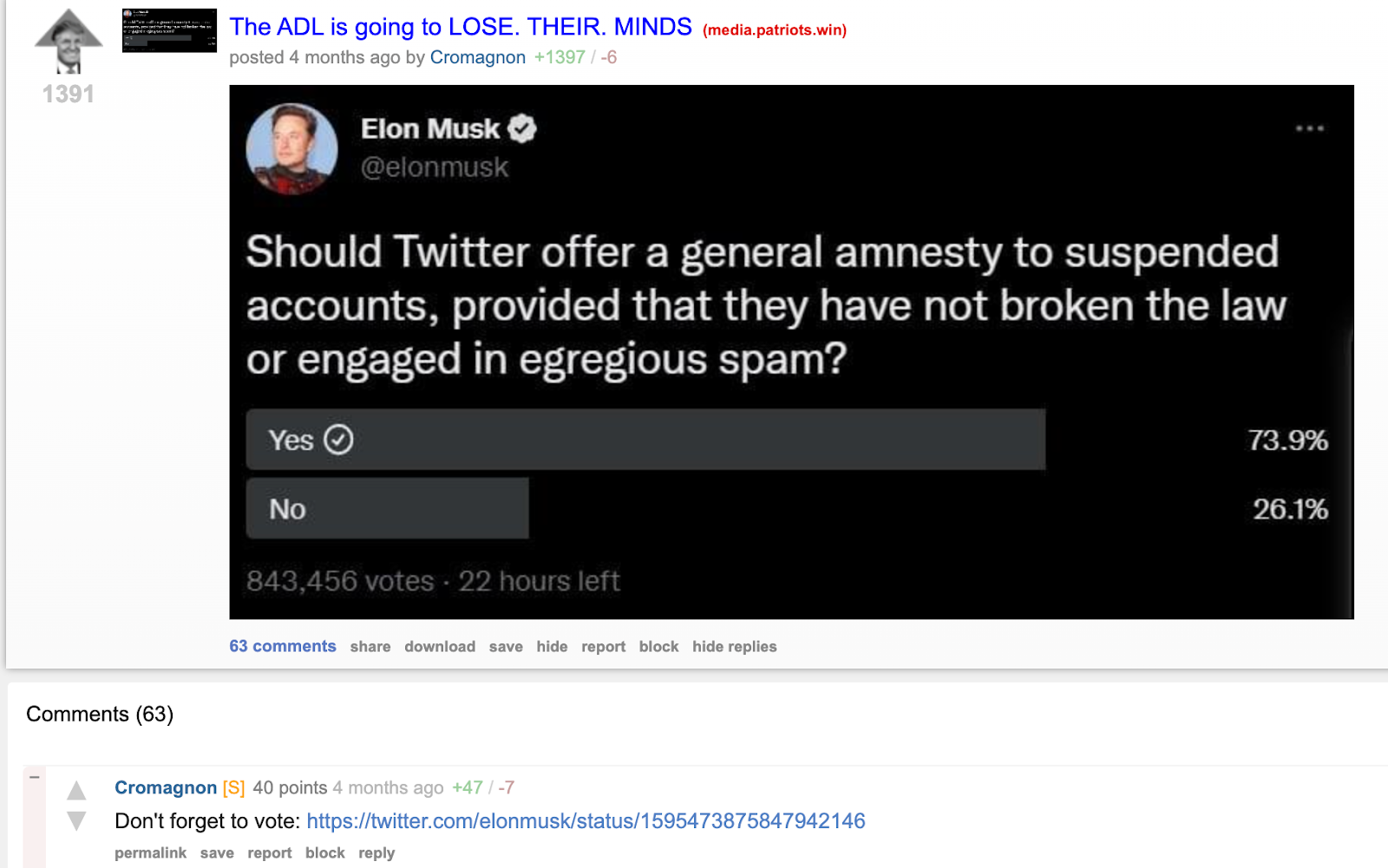 TheDonald Musk poll2 image