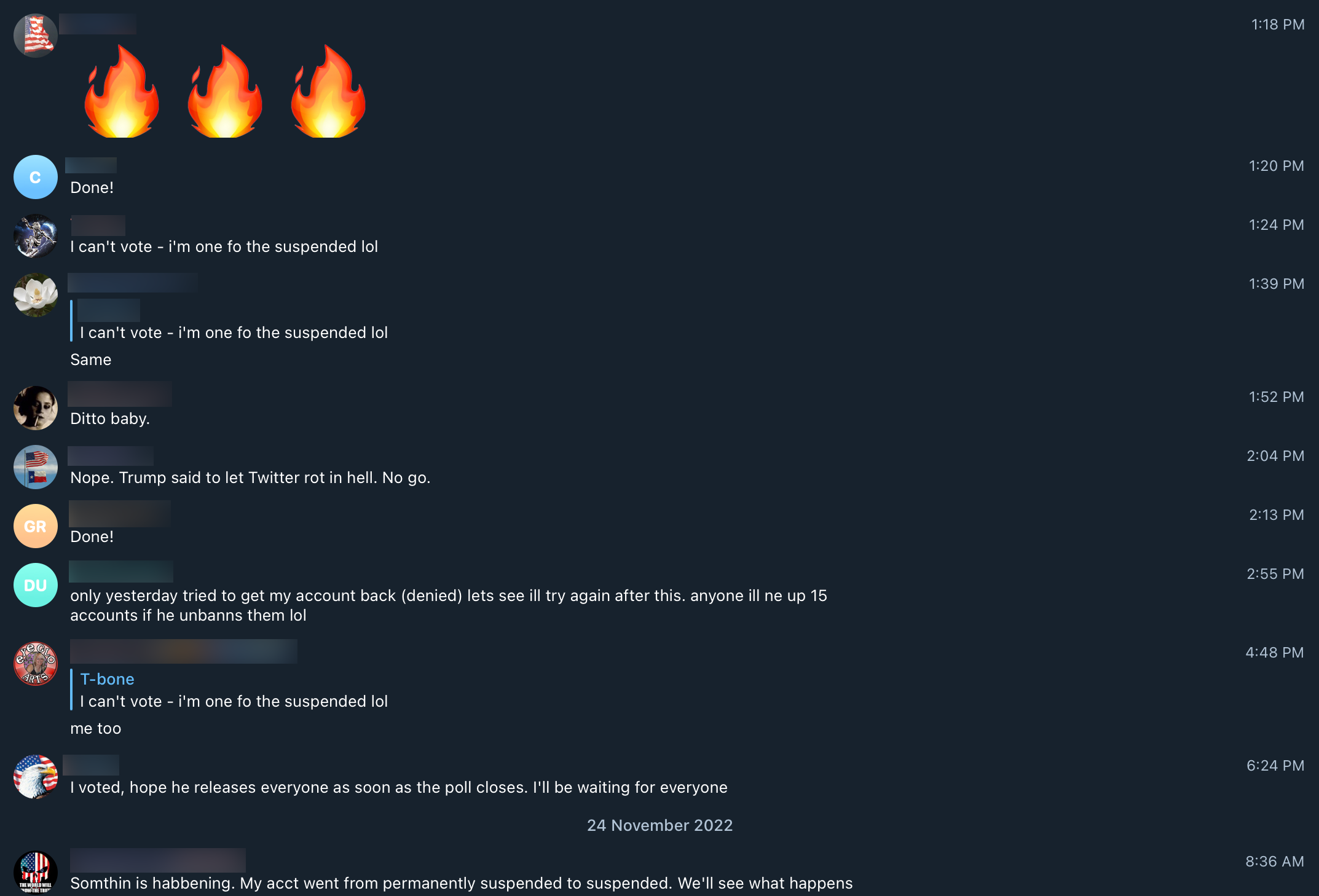 Musk poll poll2 response1