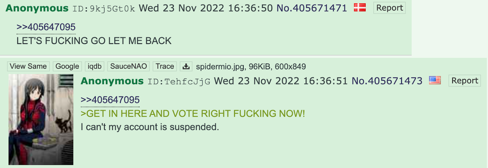 4chan Musk poll2 response2