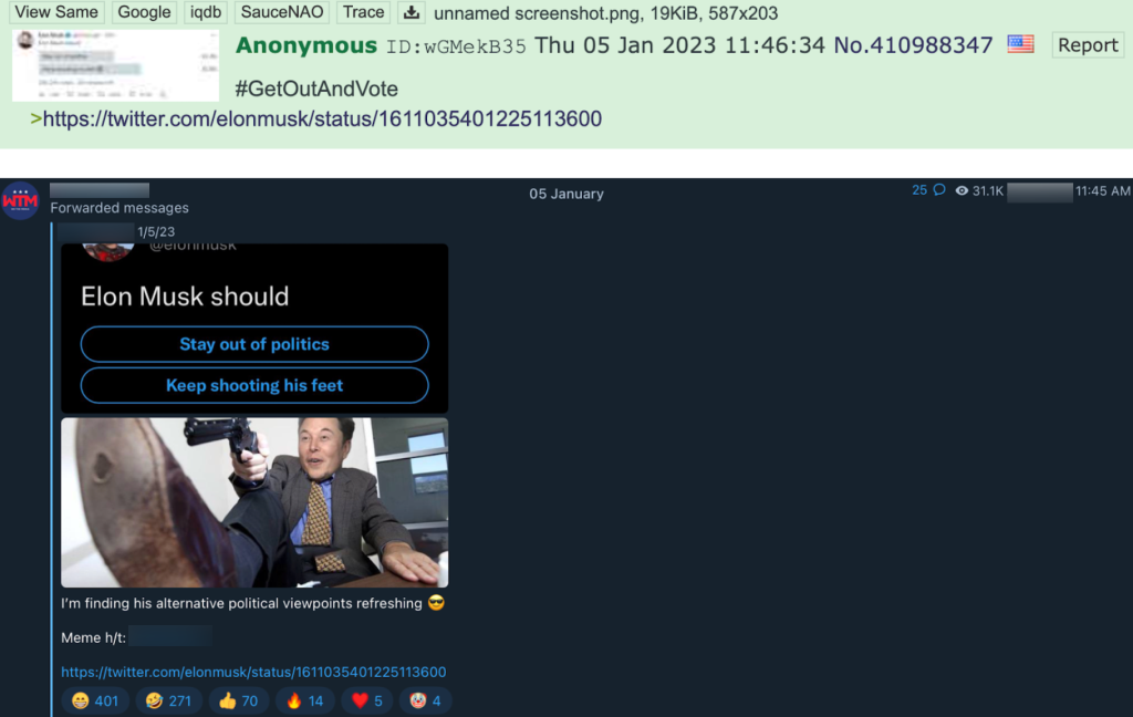 Musk politics poll response