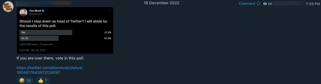 Musk CEO poll QAnon influencer response