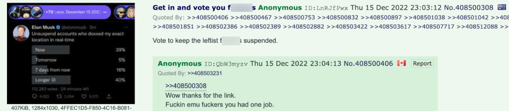 4chan Musk reporters poll image1