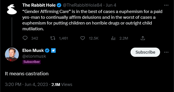 Elon Musk calling gender addirming care castration
