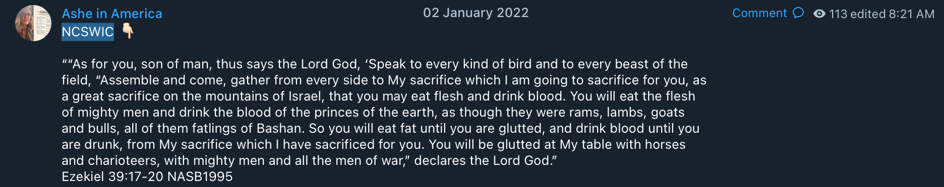 Ashe in America QAnon2