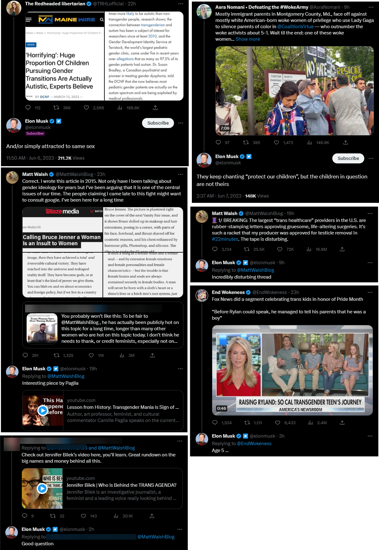Elon Musk Pride Month Collage 2