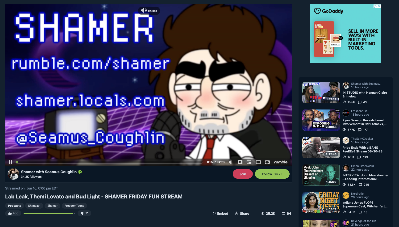 GoDaddy ad on anti-LGBTQ Seamus Rumble video