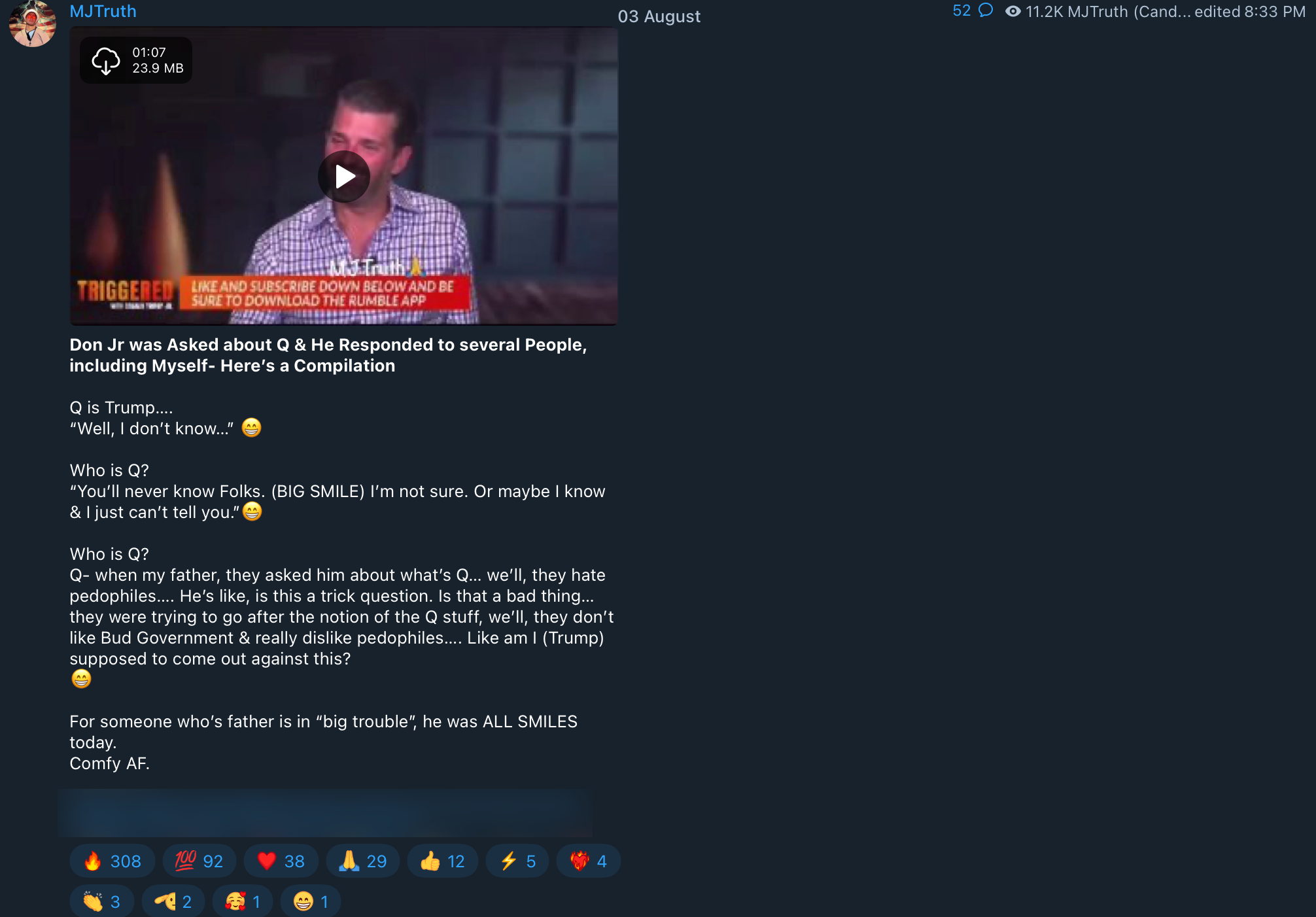 Trump Jr. QAnon influencer2
