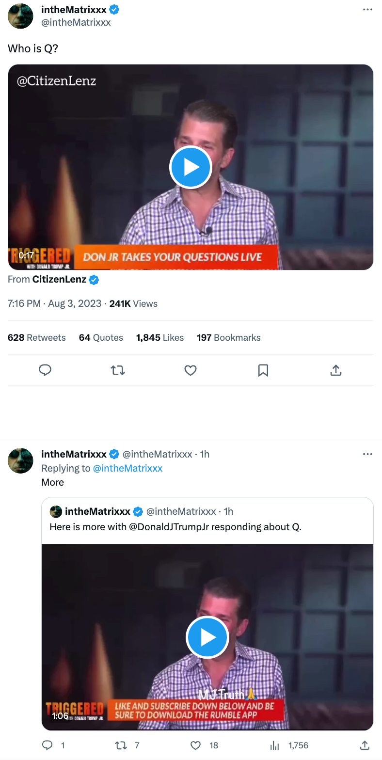 Trump Jr. QAnon influencer4