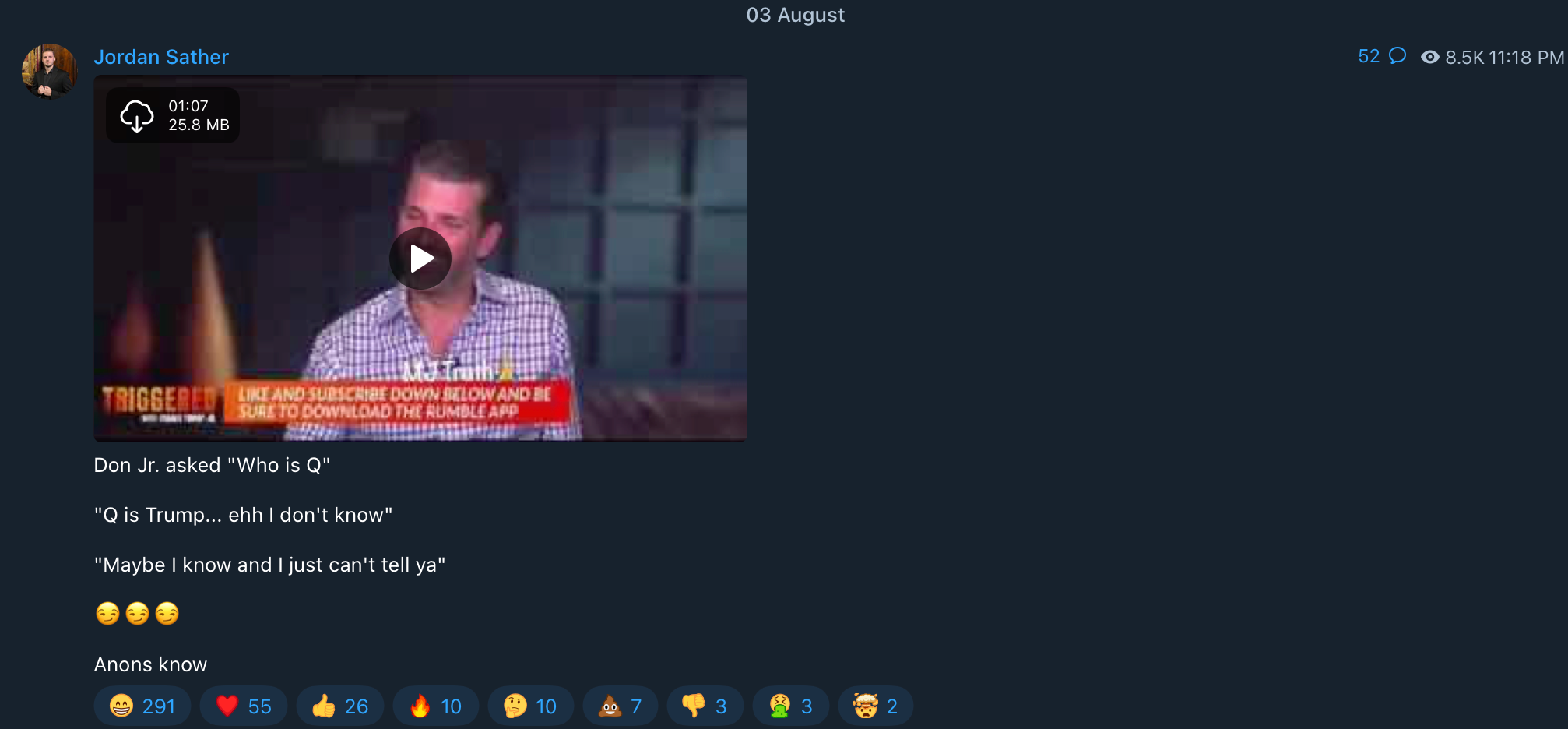 Trump Jr. QAnon influencer5