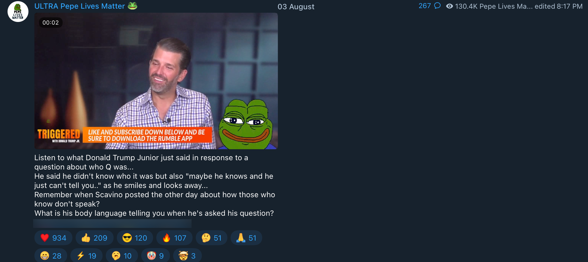Trump Jr. QAnon influencer3