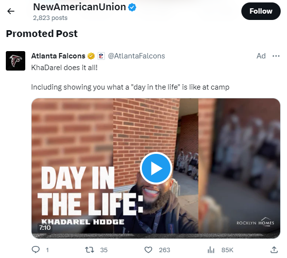 NewAmericanUnion: Atlanta Falcons