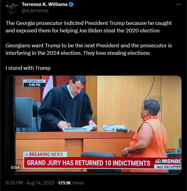 Terrence K Williams election interference tweet