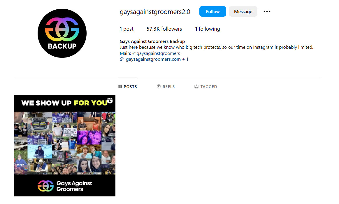A screenshot of Gays Against Groomers backup Instagram bio