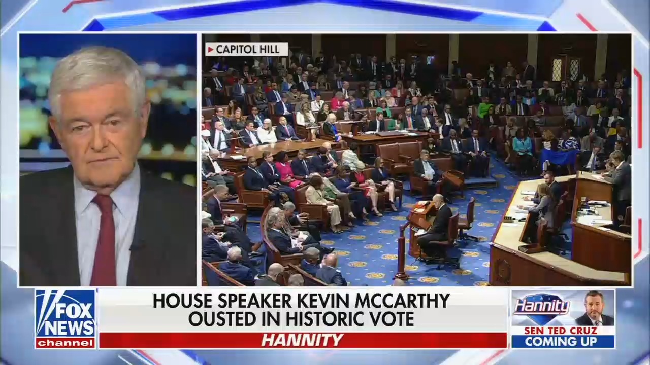 Fox News' Newt Gingrich demands Republicans primary the "traitors" who ...