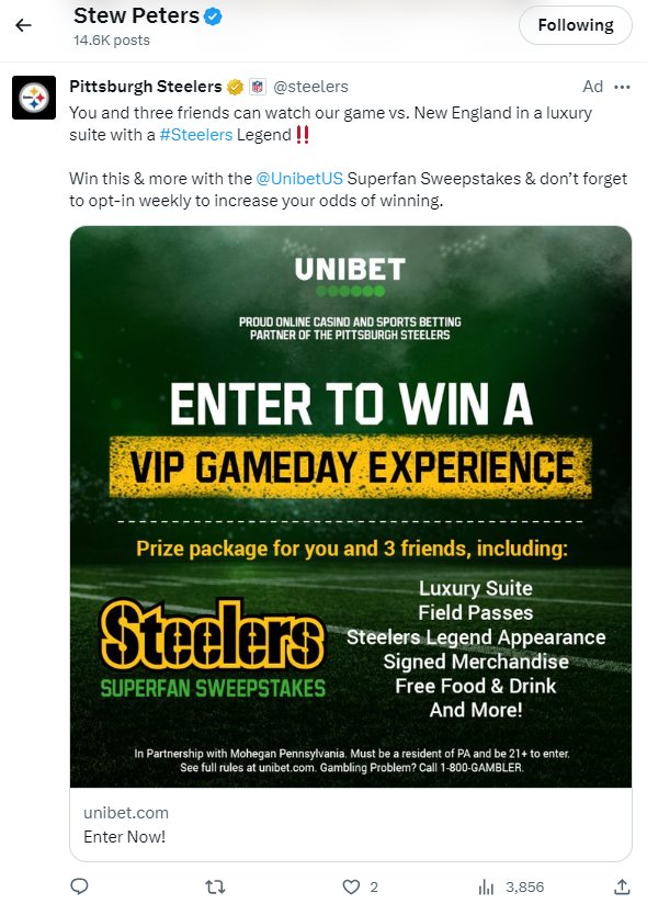 Stew Peters and the Pittsburgh Steelers / BetMGM