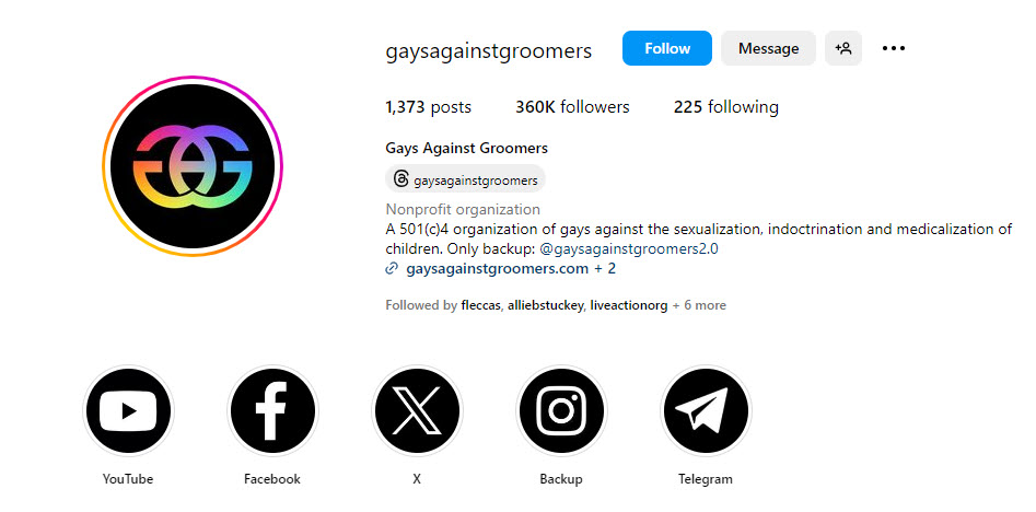 A screenshot of the Instagram bio of Gays Against Groomers