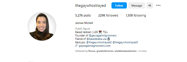 A screenshot showing the number of followers Michell has