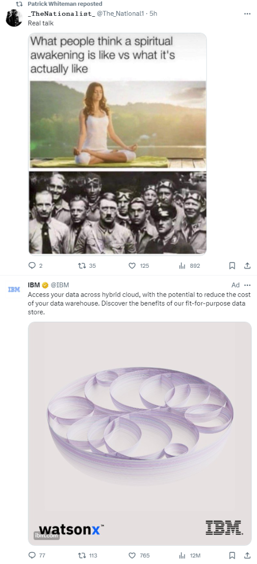 Pro-Nazi content and an IBM ad 2