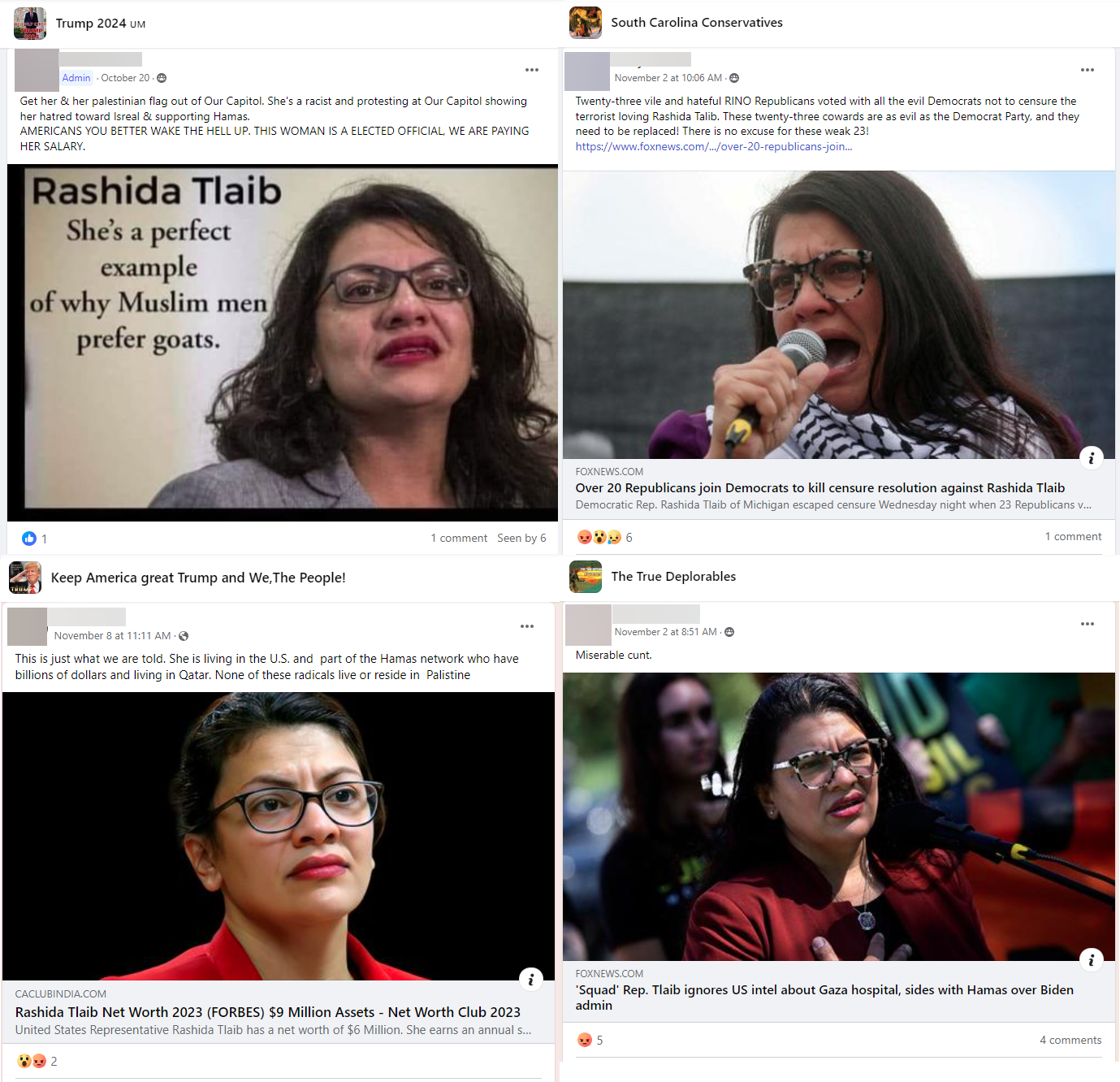 Facebook group posts attacking Rashida Tlaib