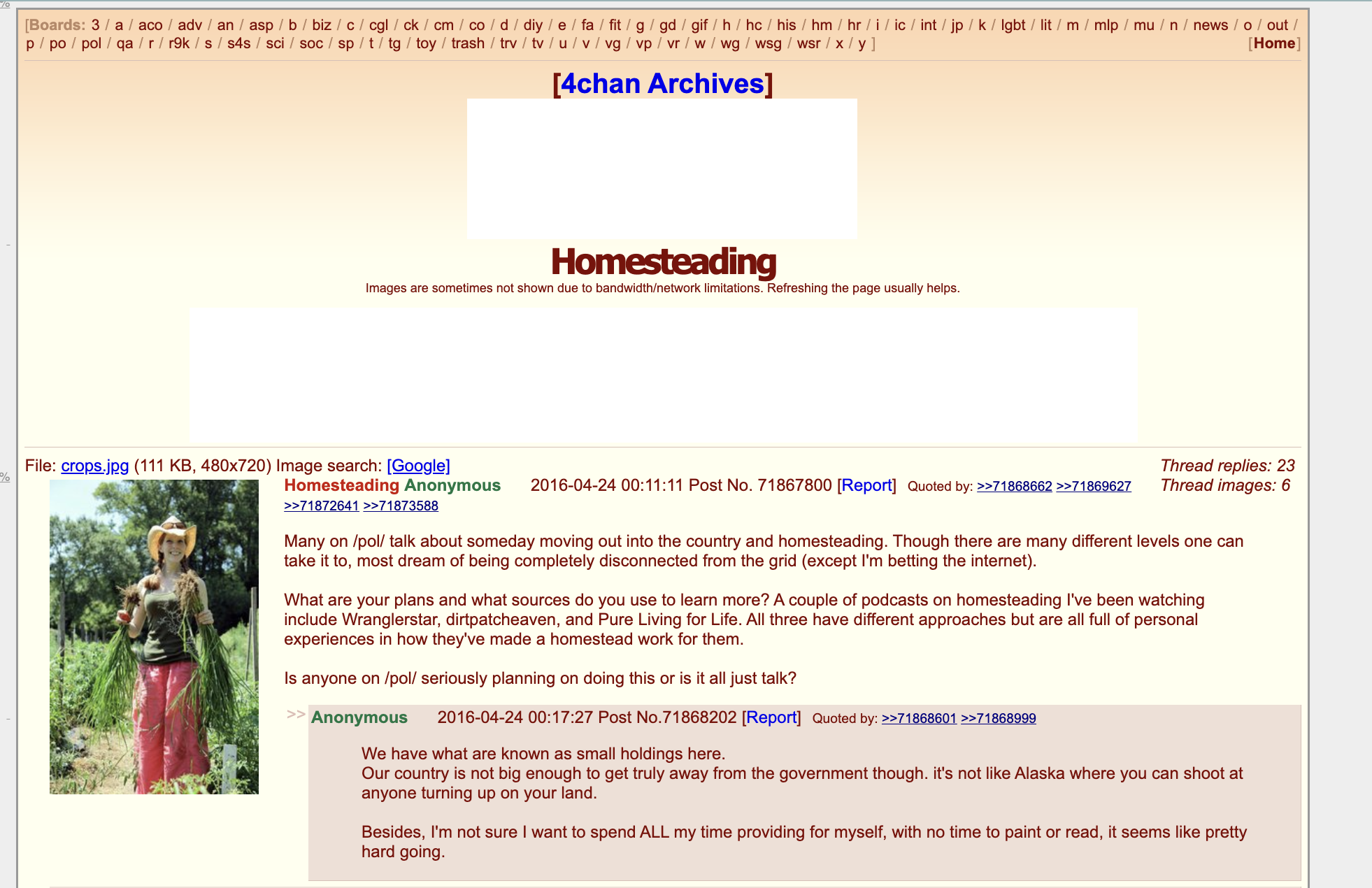 4chan homsteading content