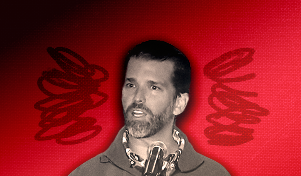 Here are the people "loyalty czar" Donald Trump Jr. would like to hire for a second Trump administration - Vimarsana News