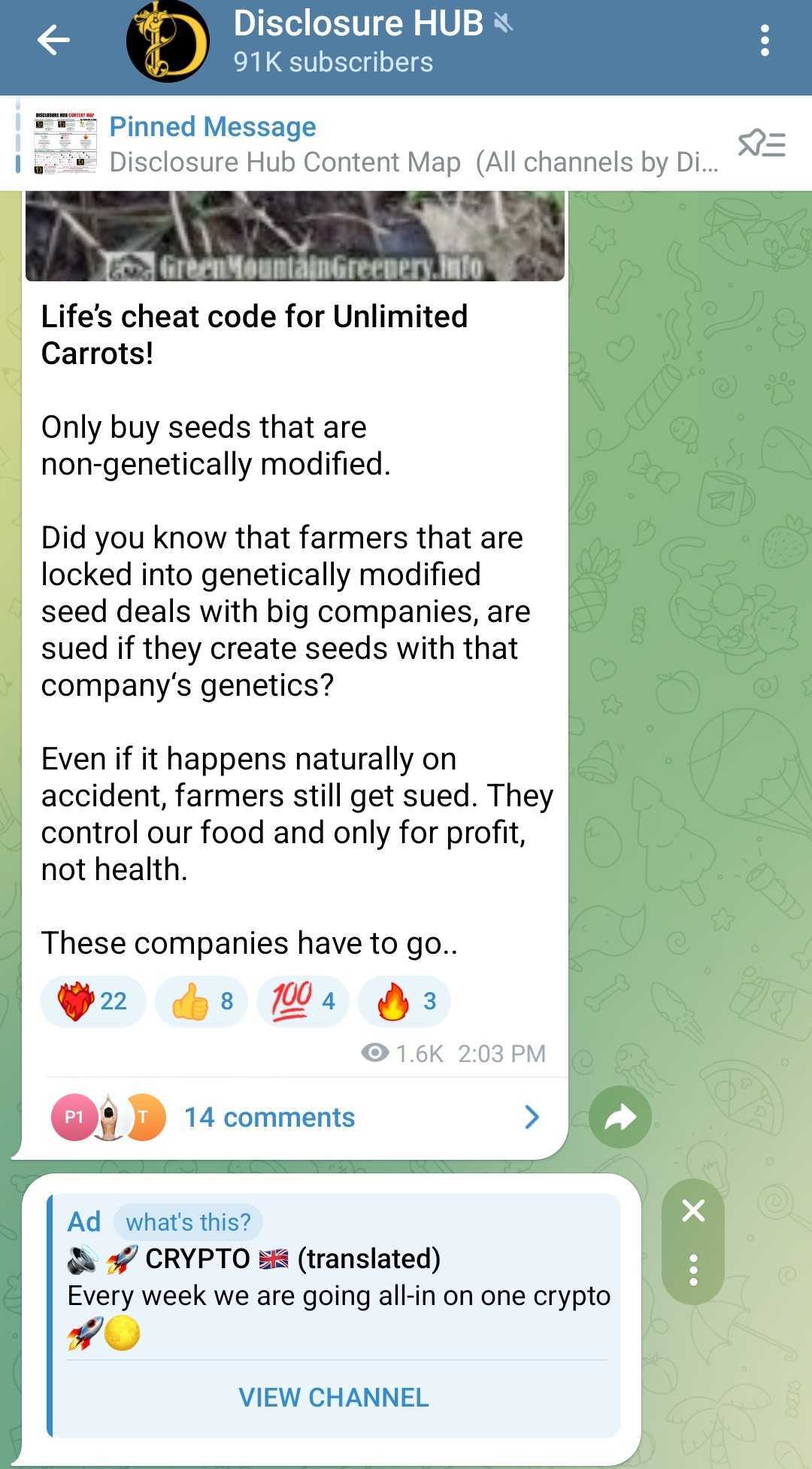Disclosure Hub Telegram ads