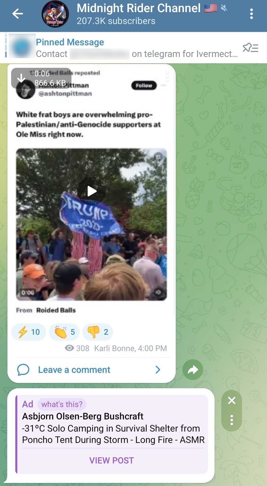 Kari Bonne Telegram ads