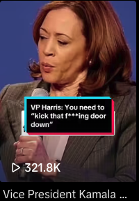Screenshot of MSNBC's TikTok