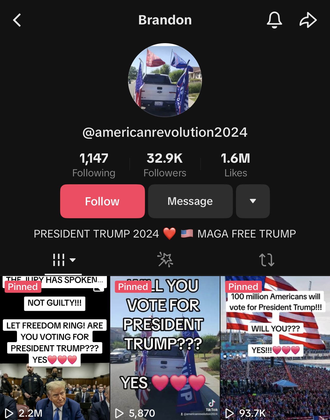 Brandon account and Trump not guilty view count