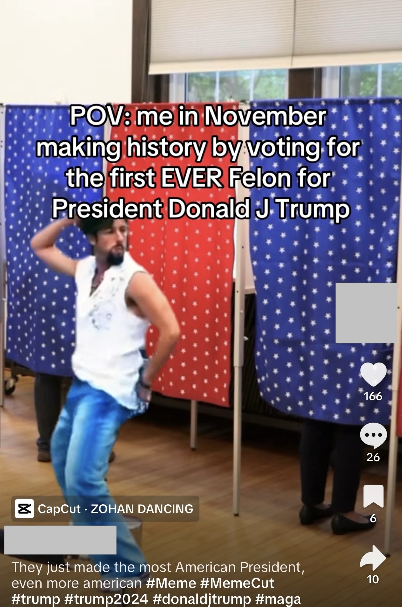 Pro-Trump account evidence