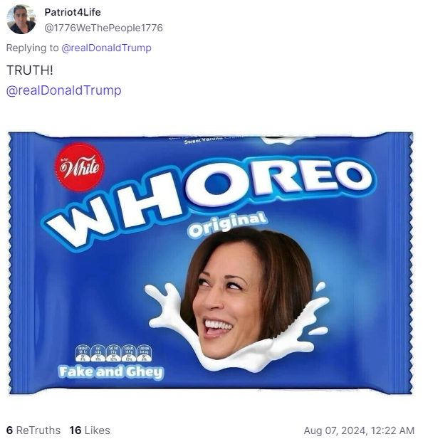 Patriot4Life misogynistic 3
