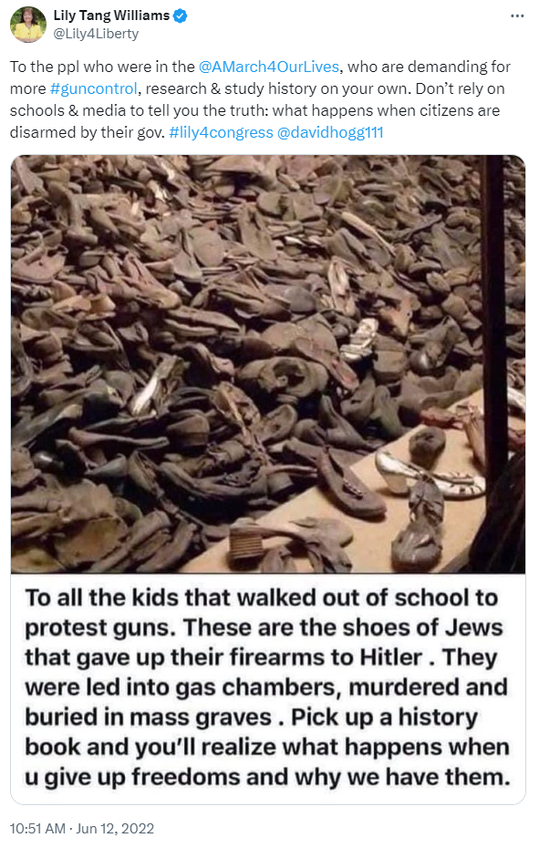 Lily Tang Williams gun control 2