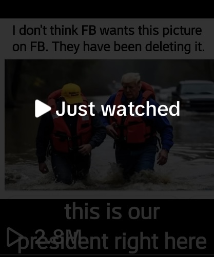 AI Trump in flood water view count