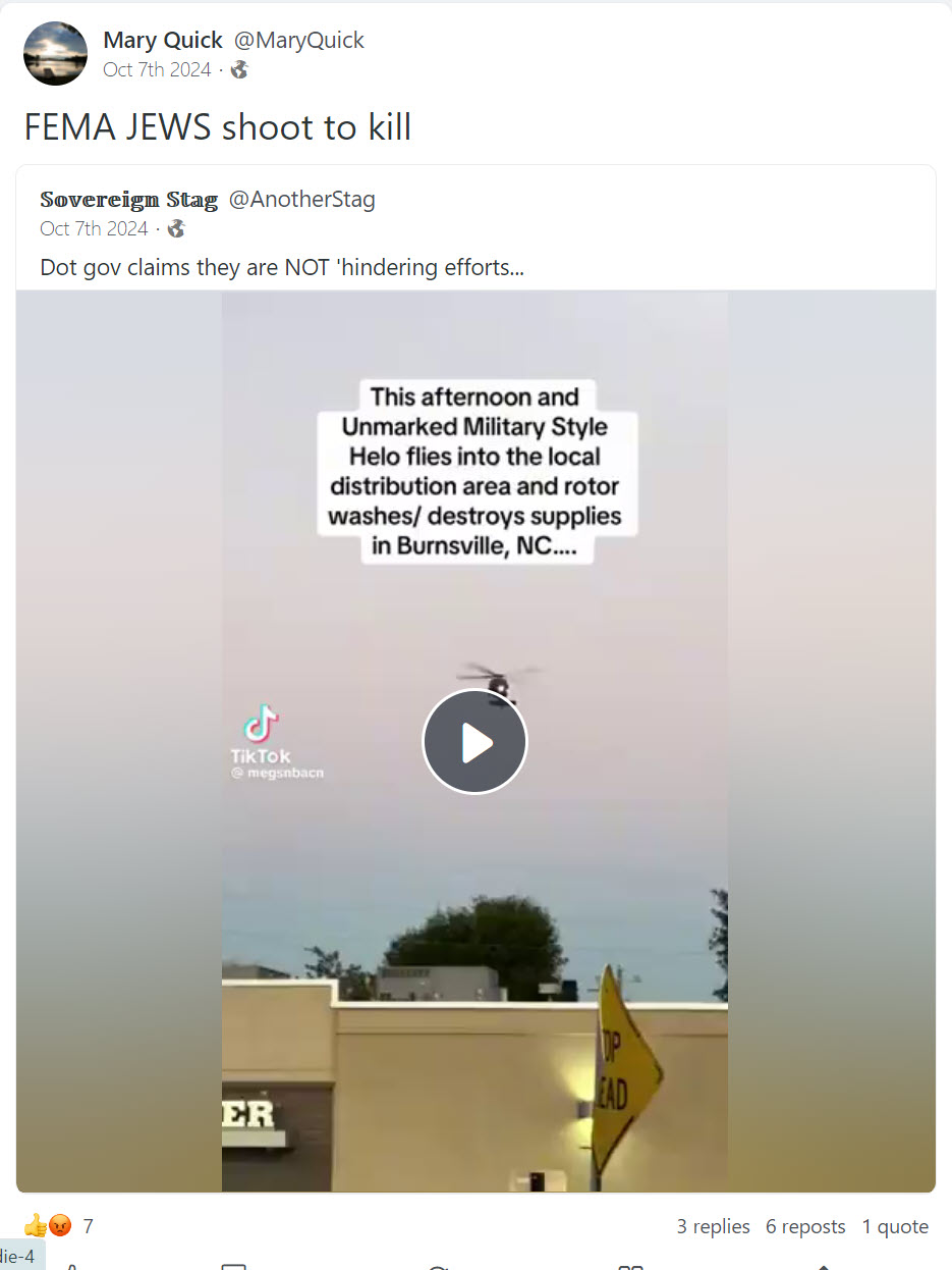  "fema jews shoot to kill"