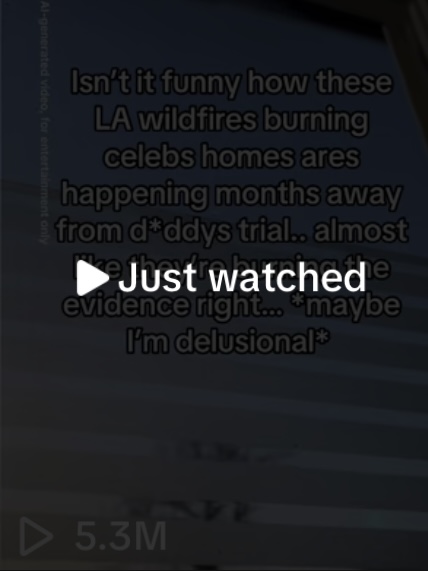 Diddy conspiracy theory 2 view count