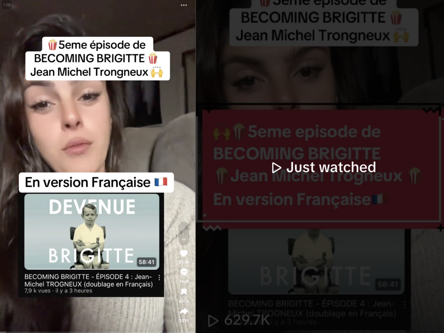 Video directing TikTok users to French-translation of transvestigation content has over 600,000 views