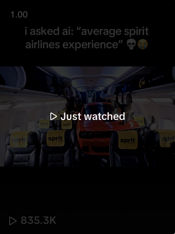 "Average spirit airlines experience"