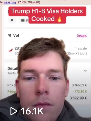 TikTok 4chan campaign H1B view count